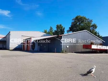 location local d'activités strasbourg 223 m²