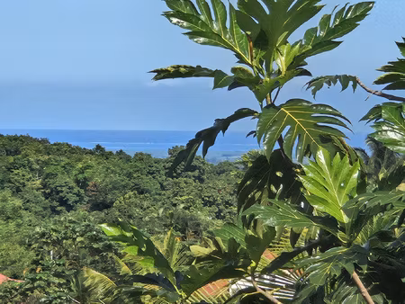 villa de plain-pied avec piscine et grand terrain à vendre v