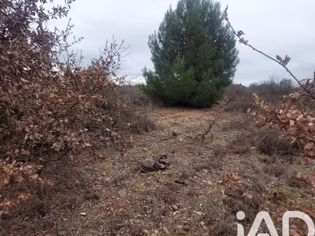 vente terrain 3 865 m²