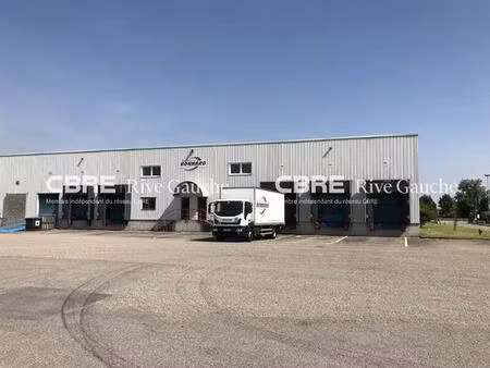 location bureau strasbourg 31 m²