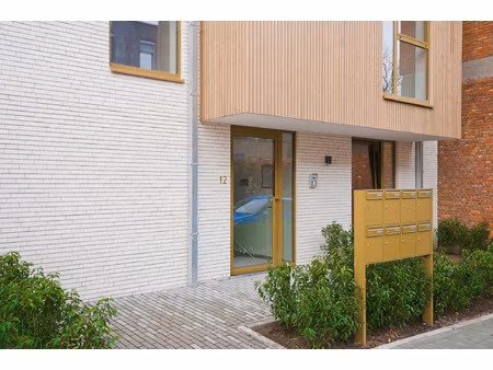 appartement te huur in beveren-kruibeke-zwijndrecht met 1 slaapkamer