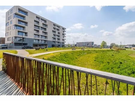 appartement te huur in halle met 2 slaapkamers