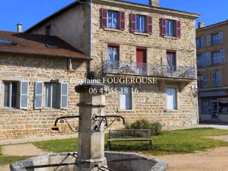 achat immeuble 420m² montbrison 42600