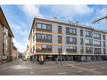 instapklaar appartement nabij het centrum van oudenaarde!