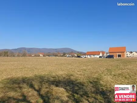 terrain 1 423 m² chaux