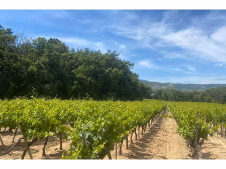 annonce terrain à vendre