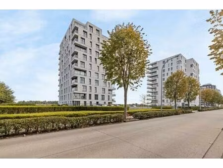 appartement te huur in temse