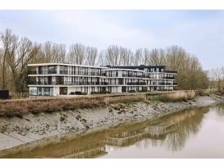 appartement te koop in hamme met 1 slaapkamer