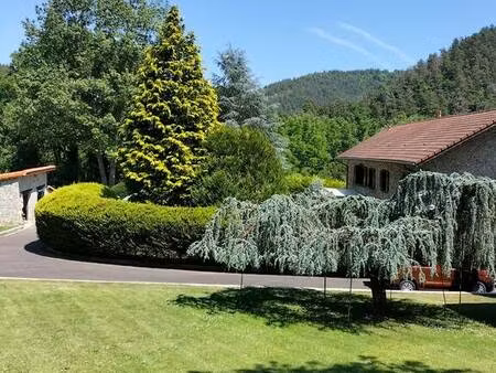 bas-en-basset (43210)