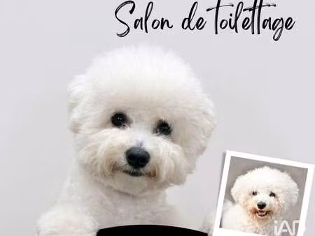 vente bureaux et commerces à nice (06000) : à vendre / 29m² nice