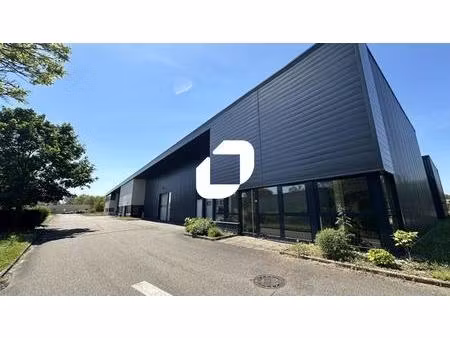 locaux d'activités à louer - geispolsheim