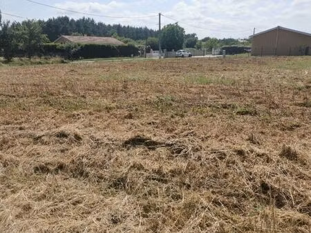 vente terrain 2000 m² cauvignac (33690)