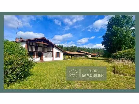 landaise gite foret - landes (40) - aquitaine