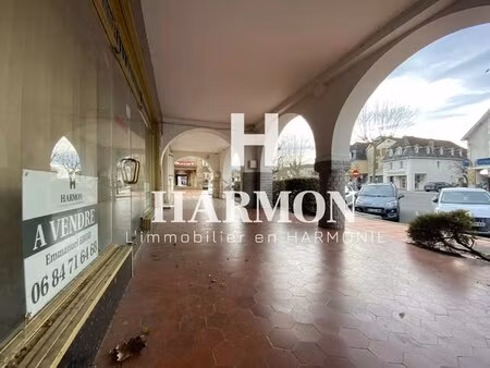 harmon à vendre arzcaq