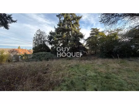 terrain situé à bois le roi