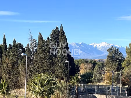 ideal professionnel appart + hangar