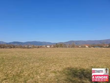 terrain constructible viabilisé à vendre