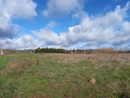 terrain constructible viabilisé à vendre