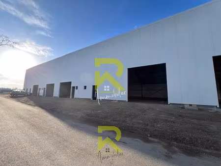 location commerce à saint-thibéry (34630)