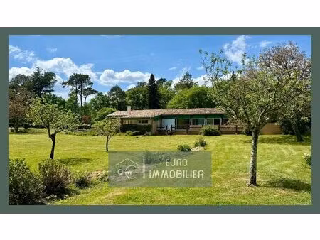 saint symphorien - longere 235m2 - 4 chambres - dépendances - t
