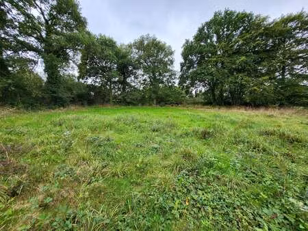 vente terrain au tronchet (35540) : à vendre / le tronchet