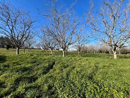 vente terrain 1328 m² liourdres (19120)