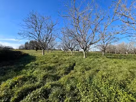 terrain à bâtir de 0 pièces principales