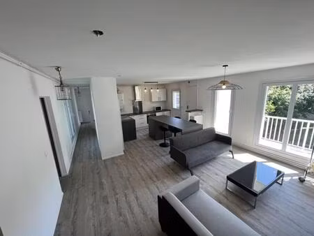 location appartement 1 pièce 115 m² à nantes (44000)