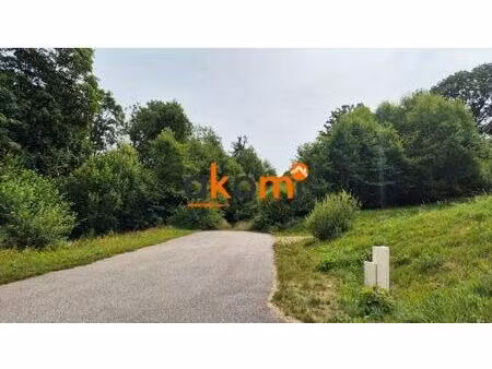 terrain viabilisé de 1 503 m² avec permis pour chalet de 193 m