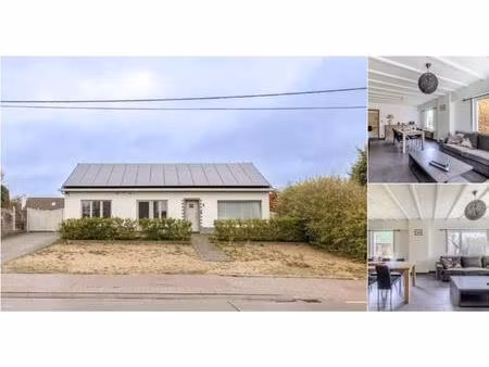 maison à vendre à industrieweg 70 westerlo (rbv01911)