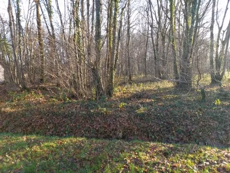 terrain à vendre de 2 370 00 m² saint hilaire les andresis (45)