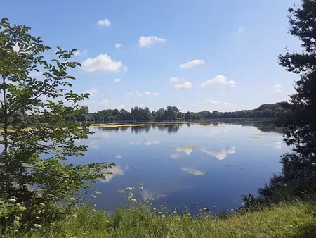 vente appartement 4 pièces 90 m² à villeneuve-d'ascq (59491)  229 900 €