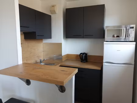 t1 bis meuble + cave + parking