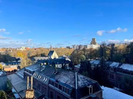 appartement 1 ch + 1 bureau + grande terrasse