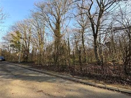 lot 1 : terrain à la situation privilégiée