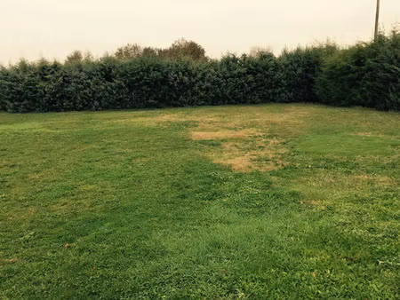 terrain à bâtir de 338 m² à savigny-sur-orge (91)