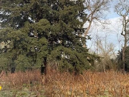 terrain viabilise de 1109 m2 en centre bourg