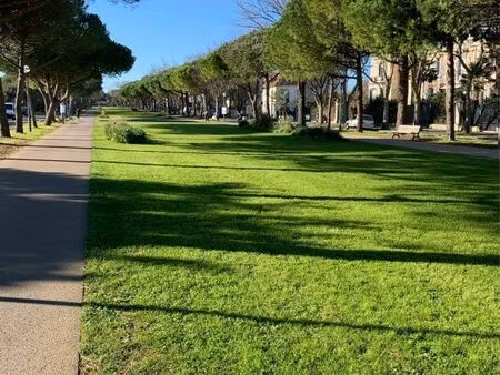 maison rénovée la genette + local pro