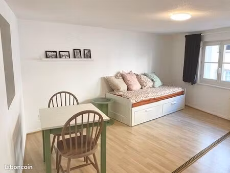 appartement meublé 1 pièce strasbourg hypercentre – 25 m2