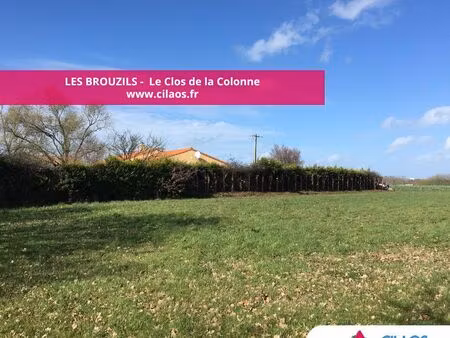 vente terrain 975 m² montaigu-vendée (85600)