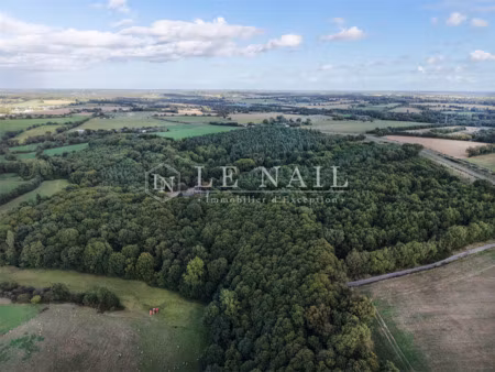 terrain à vendre à château-gontier : 498 000 € | 172m²