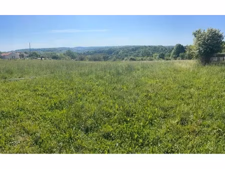 vente terrain 4497 m² à saint-martin-de-ribérac (24600)  41 499 €