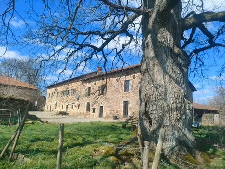 vente maison 9 pièces 322 m² vayres (87600)