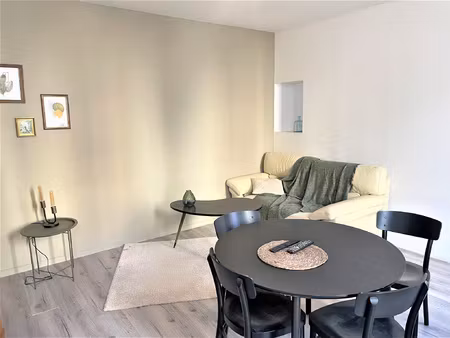 appartement lumineux - rouen