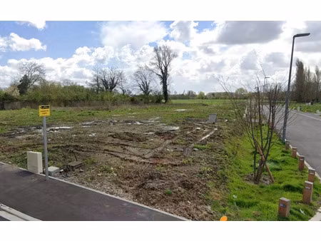 vente terrain 417 m² à flines-lez-raches (59148)  53 614 €
