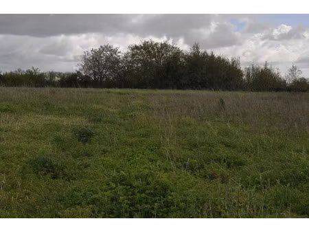 vente terrain 4979 m² à asnières-la-giraud (17400)  55 000 €