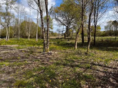 vente terrain à montendre (17130)  50 000 €