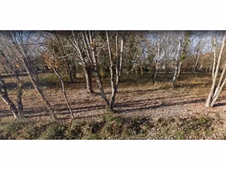 vente terrain 492 m² à montesquieu-volvestre (31310)  57 000 €