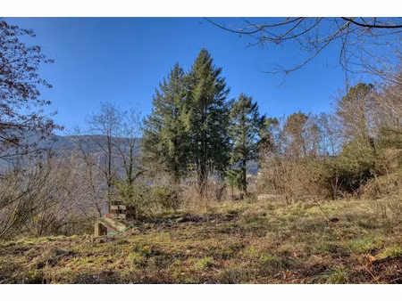 vente terrain 5000 m² à le collet-de-dèze (48160)  55 000 €