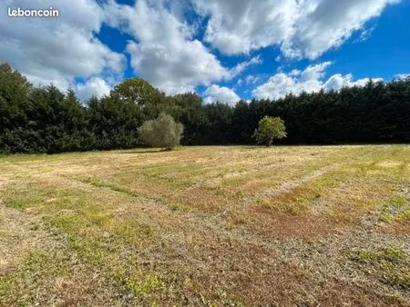 terrain 1 373 m² saint papoul